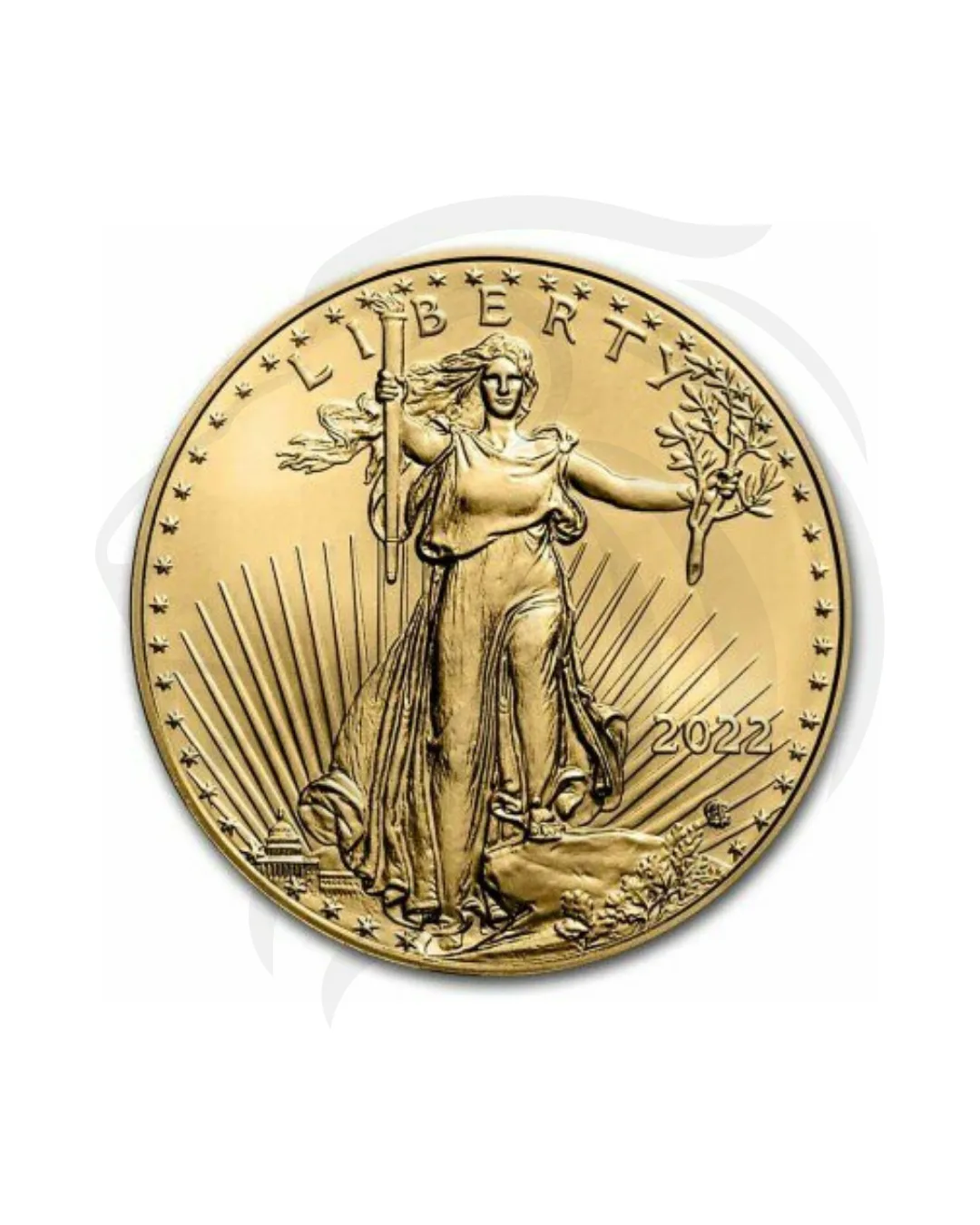 Monnaie d’or American Eagle 1 oz