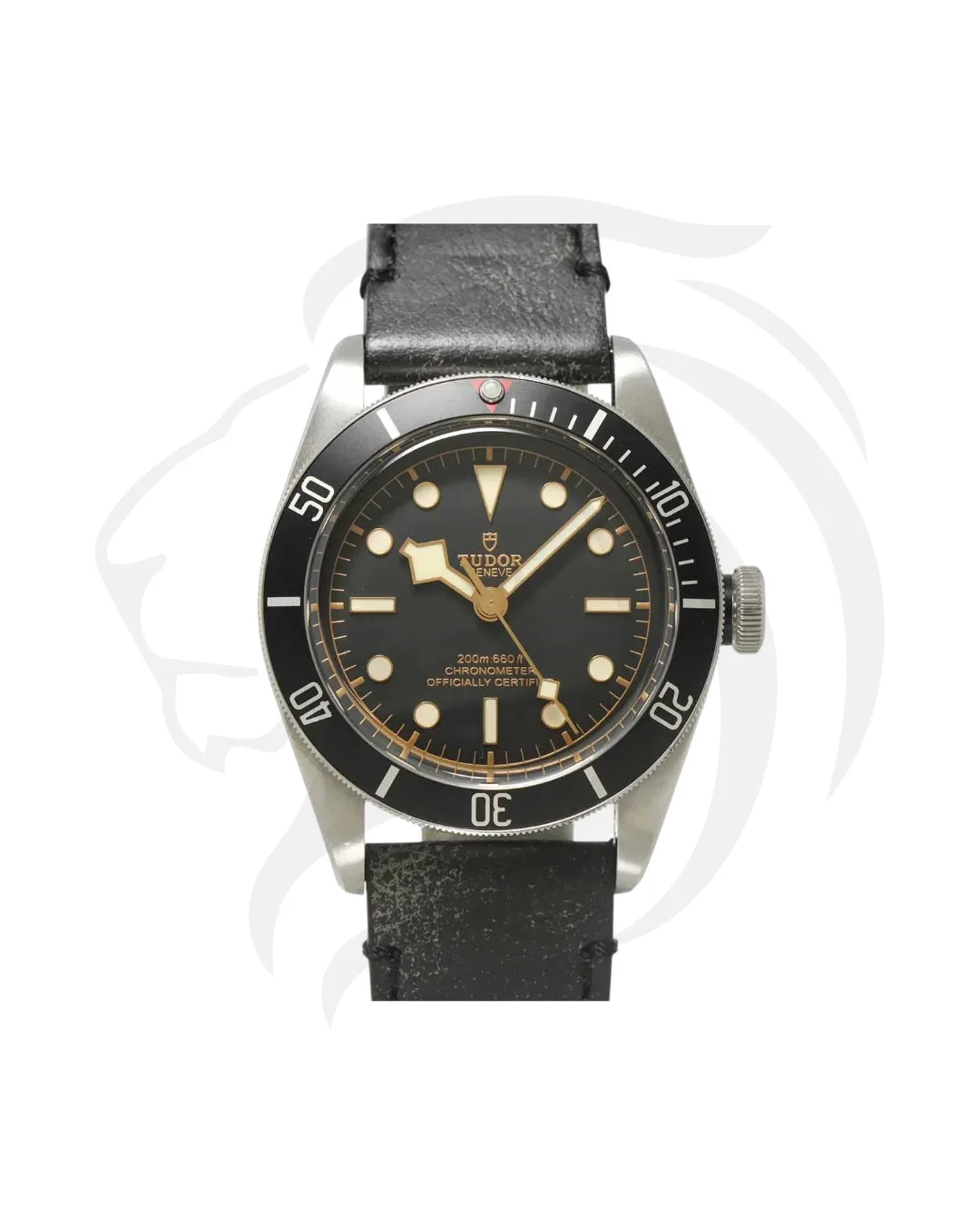 TUDOR HERITAGE BLACK BAY
