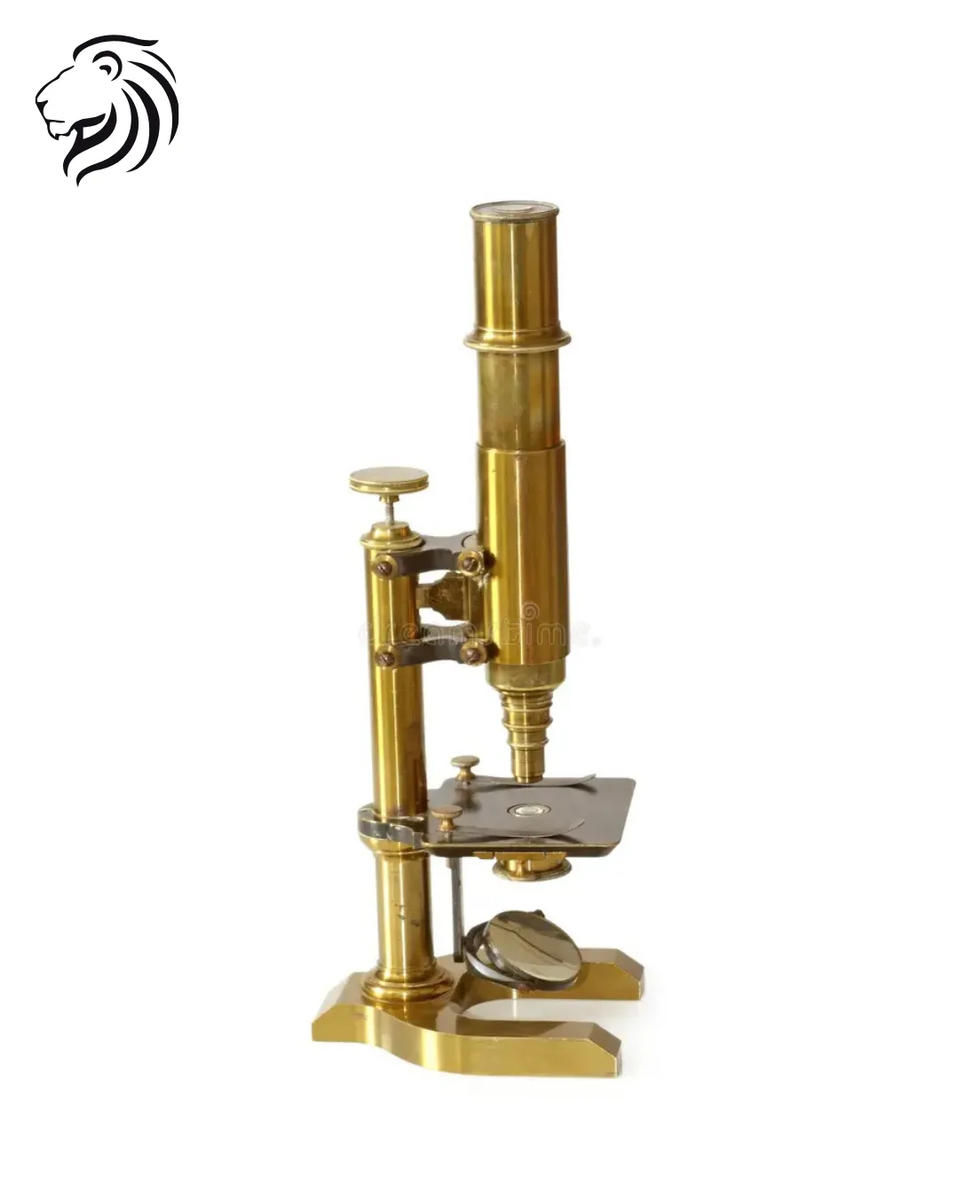 Microscope binoculaire de laboratoire en laiton