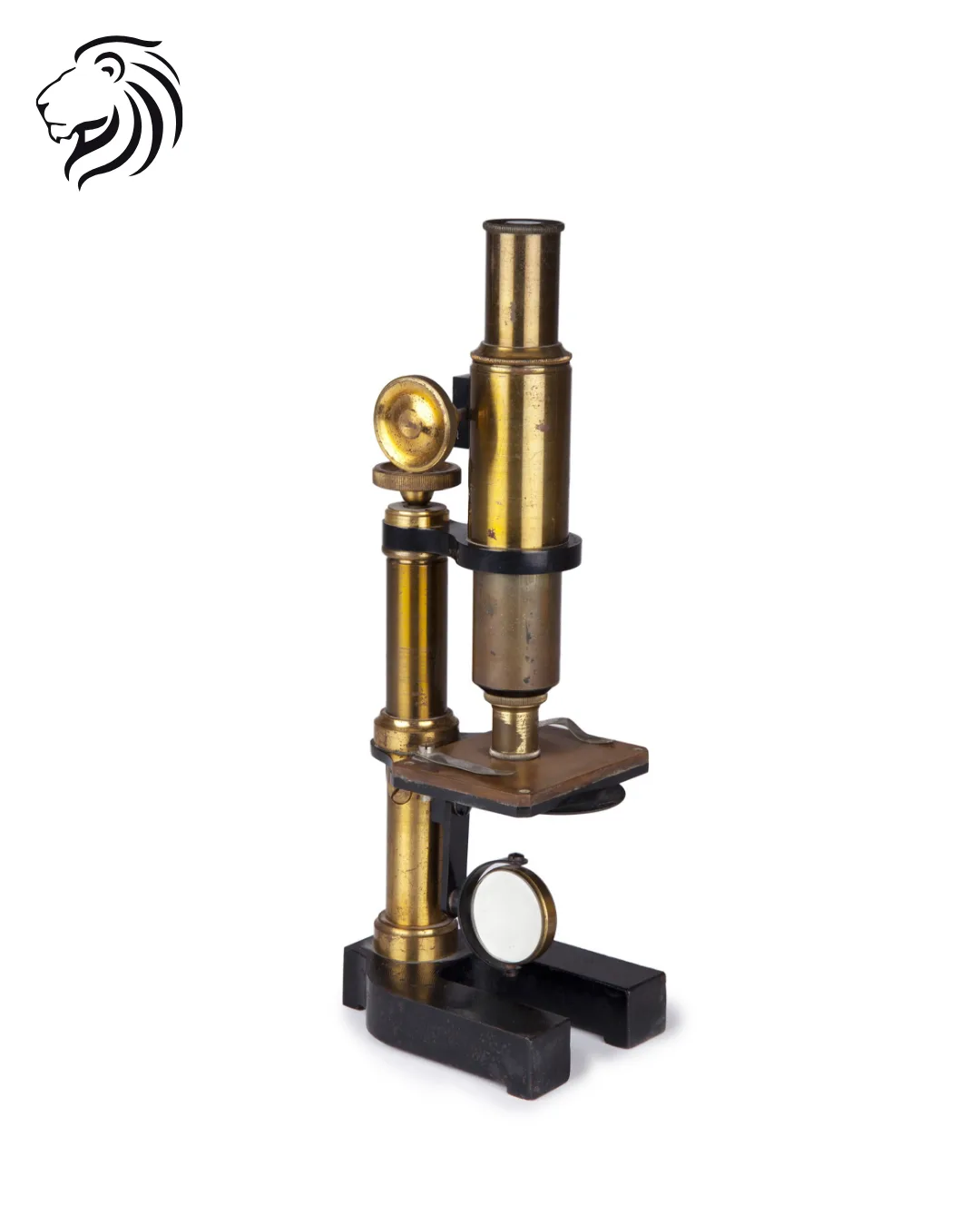 Microscope scolaire en métal laqué noir