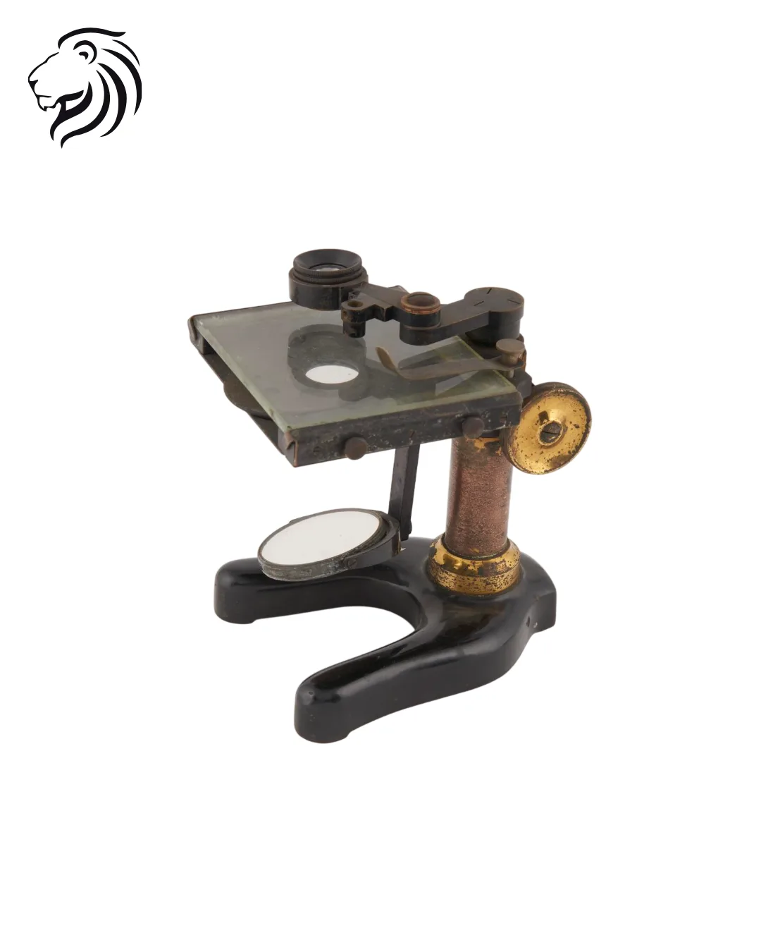 Loupe binoculaire de dissection sur socle