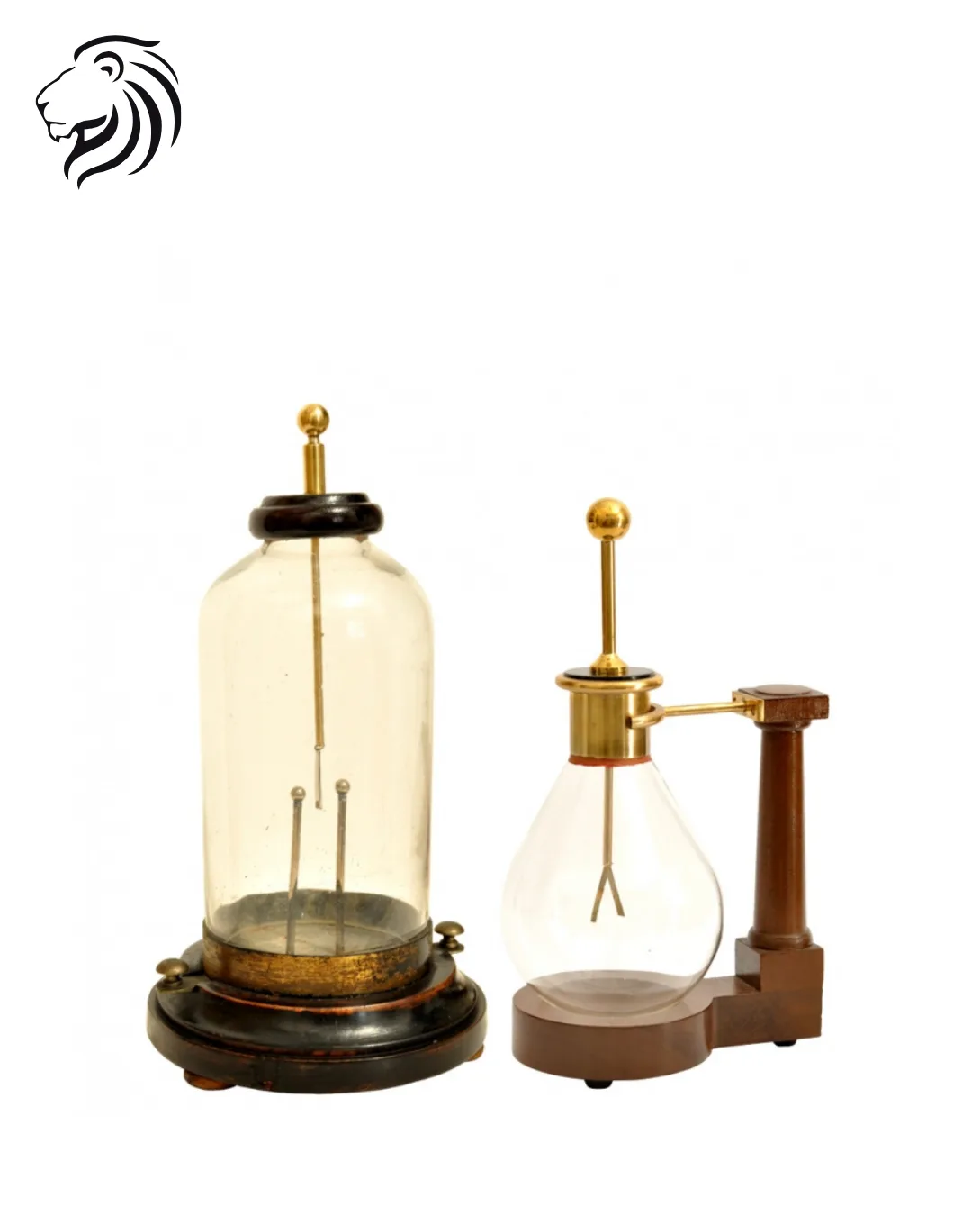 Électroscope à feuilles d’or sous cloche