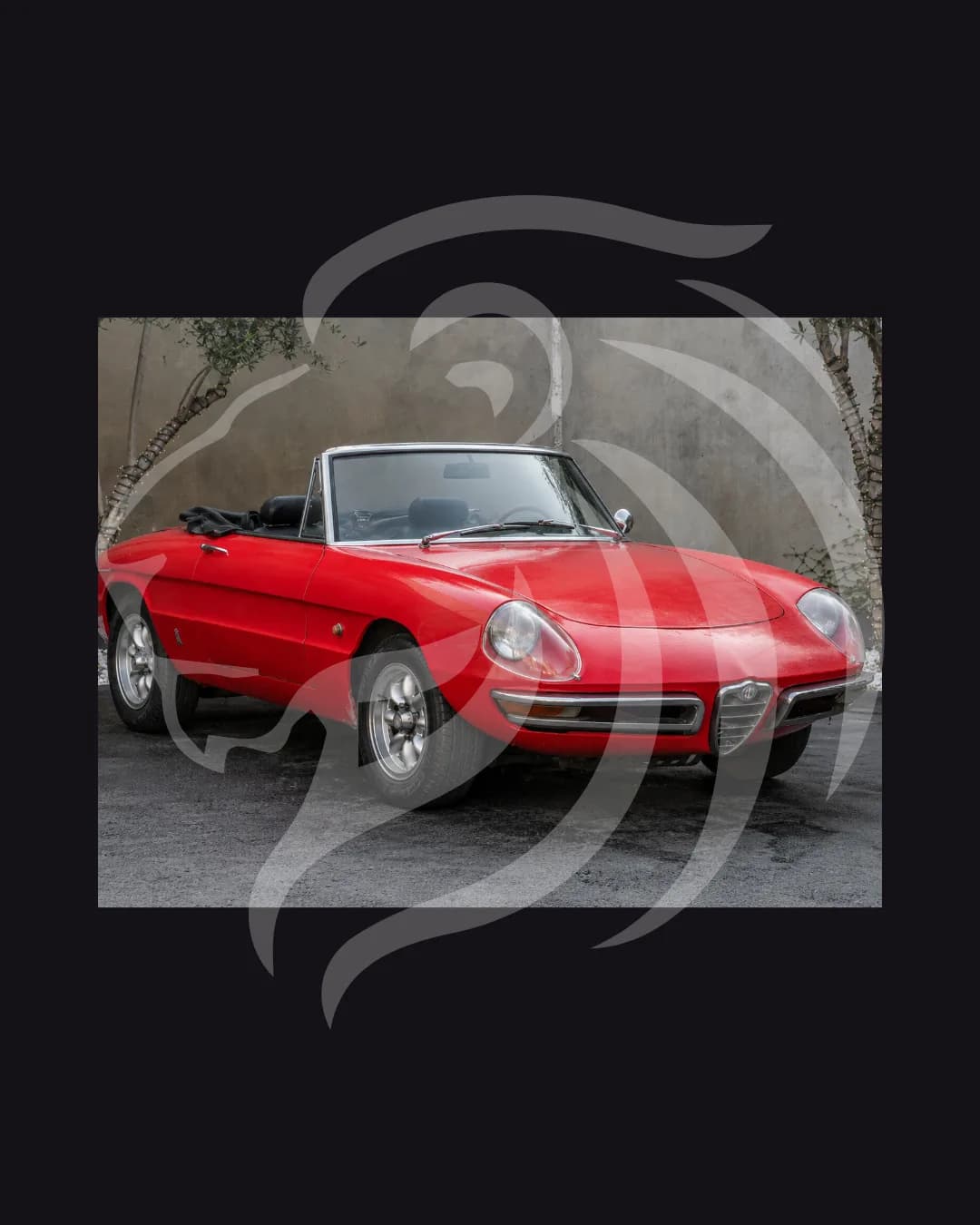 Alfa Romeo Spider Duetto
